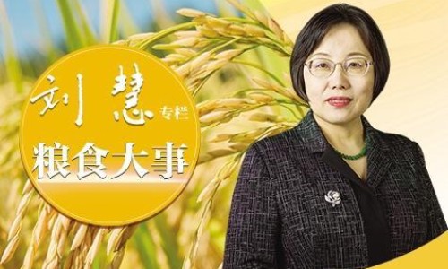 红薯干脆条的做法-香脆红薯干的吃法网—知名的香脆红薯干制作方法网站,分享香脆红薯干制作方法知识